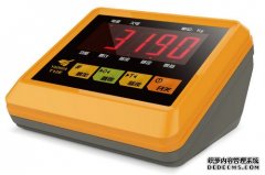 电子国产麻豆成人AV色影视免费看XK3190仪表系列产品